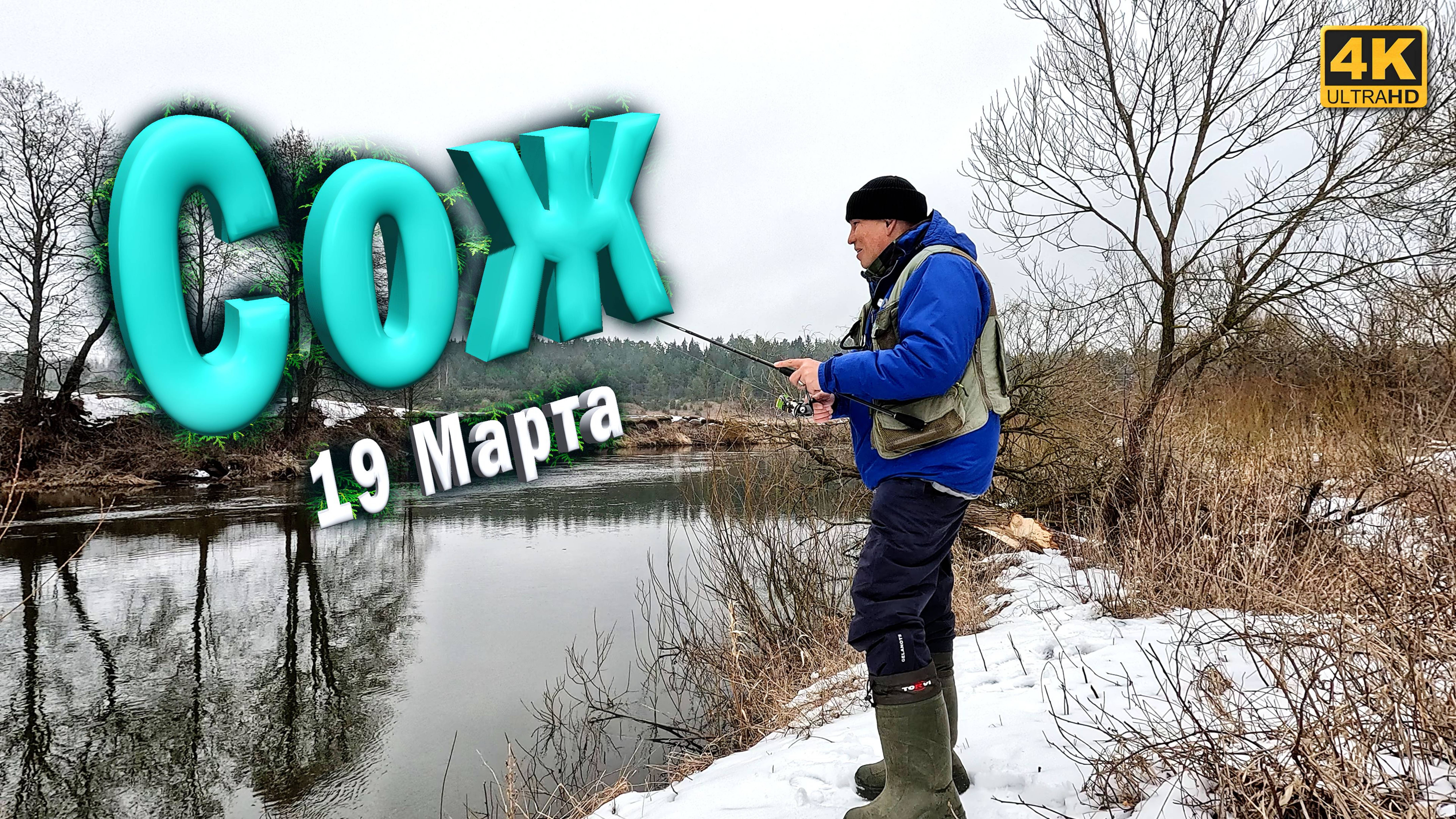 Спиннинг с берега река Сож. Весенняя ловля Щуки смотреть онлайн