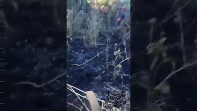 ближний бой