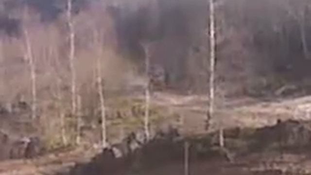 Whitecliff 4x4 Off Road Day - Screamer смотреть онлайн