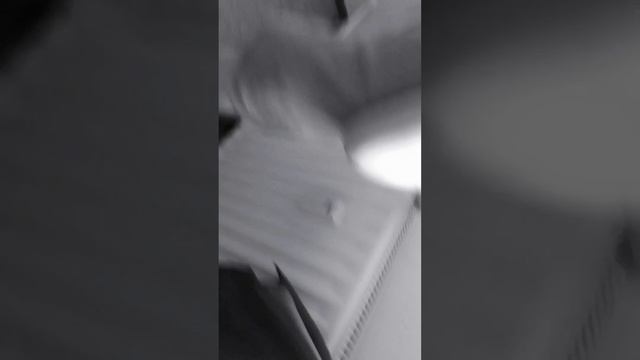 взрываю чеснок смотреть онлайн