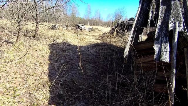 Кого испугалась мама Света?