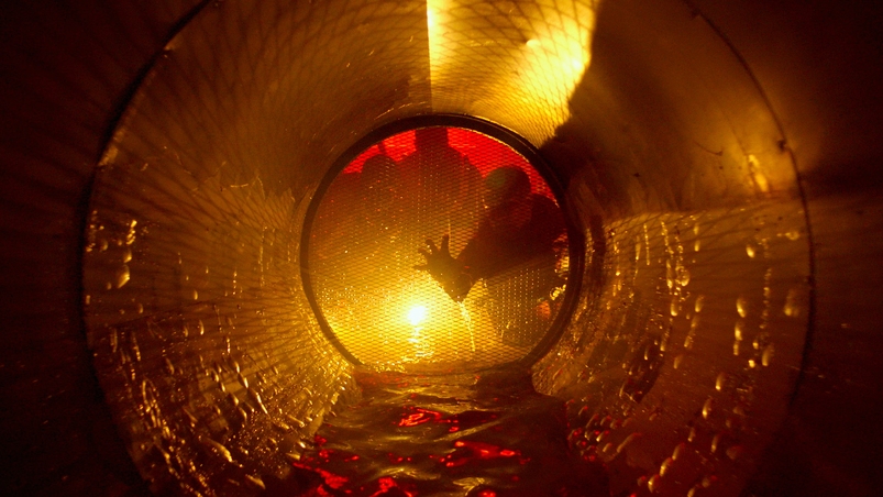 Кракен - Финальный трейлер (2025)