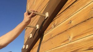 Бюджетный спорткомплекс для супер ниндзя своими руками во дворе частного дома.