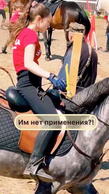 Исчезающая порода: терская. Жеребец Бостон смотреть онлайн