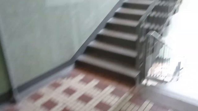 Побег кота смотреть онлайн