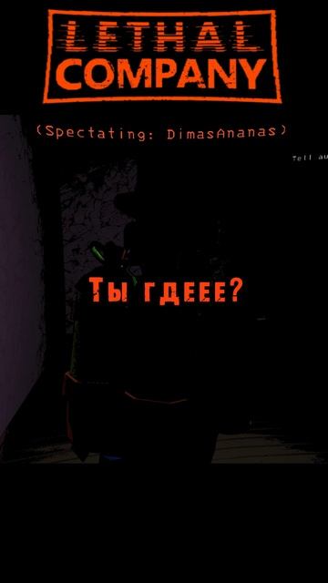 Вот это страх Летал Компани