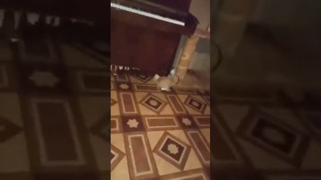 Какими мы были😇 смотреть онлайн