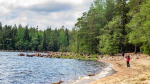 Экотропа в Кивипарке