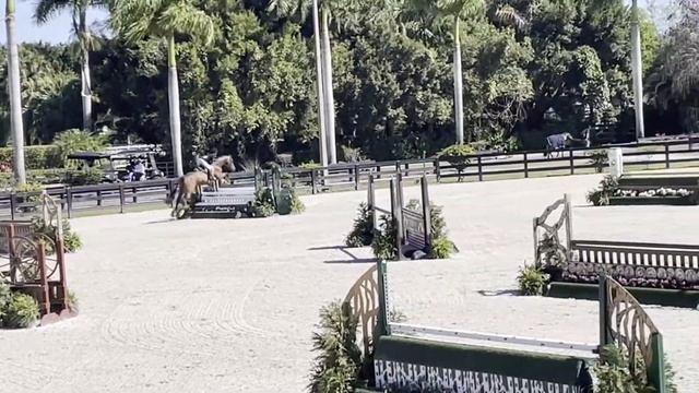Searchlight • winning handy in the 3’6” small junior hunters • WEF 8 смотреть онлайн