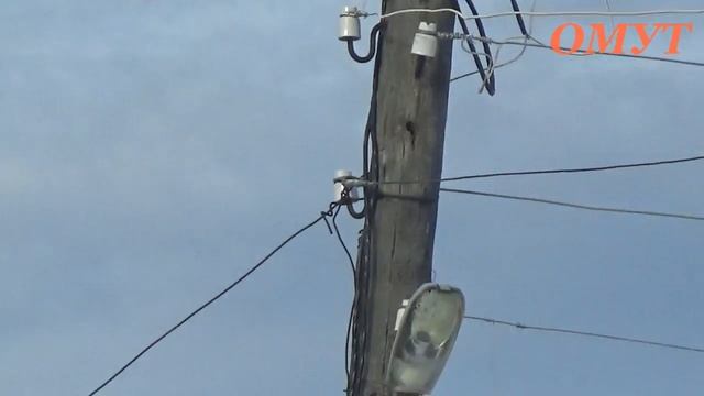 262. ДЯТЛИК С НАМИ... смотреть онлайн