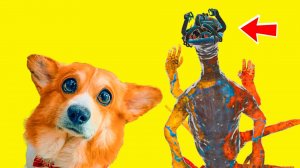 ДОУИ МОНСТР ХОЧЕТ НАС СОЖРАТЬ!! А МЫ ПЛЮШЕВЫЕ! Корги Коржик говорящая собака