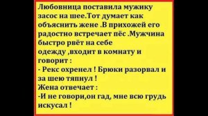 Рекс охренел! Брюки разорвал