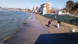 В Анапе продолжают очищать пляжи от мазута _2025-03-19