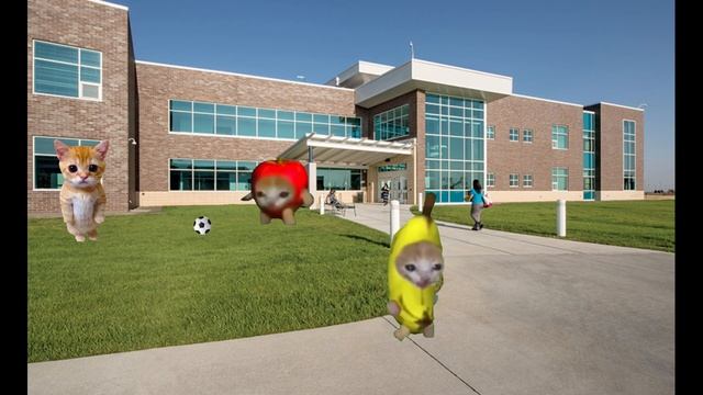 Banana cat school Day -1 смотреть онлайн