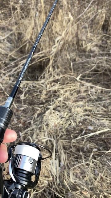 Тяжёлый красавчик Thirty34Four Advancement PSR-60 The Next Stage Limited смотреть онлайн