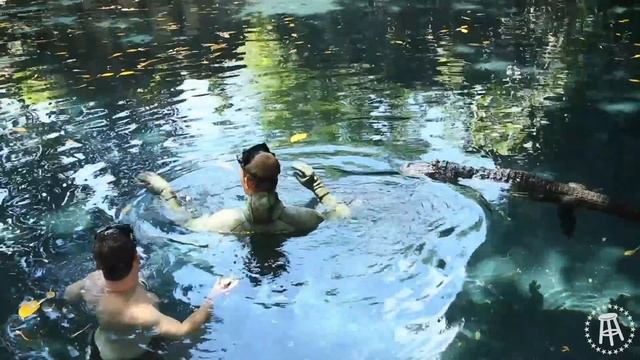 Saving the Barstool Sports Office From An Alligator Invasion смотреть онлайн