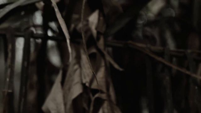 ARKA'N ASRAFOKOR - Angry God Of Earth (Official Visualizer Video) - Reigning Phoenix Music смотреть онлайн
