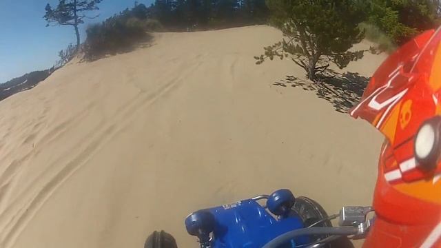 4mil banshee doing tree shots @ Boxcar in Coos Bay dunes Oregon смотреть онлайн