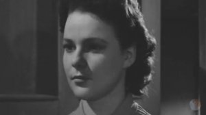 Редкое застолье проходит без этой любимой песни...Огней так много золотых..