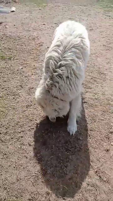 &_& ххх смотреть онлайн