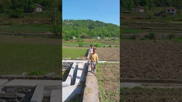 Today, The Aunt's House Was Inserted And Went To Help The Aunt.