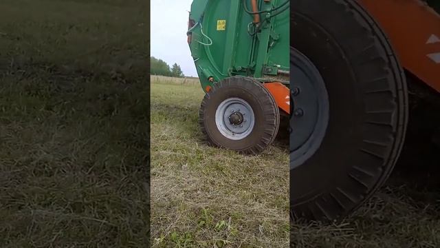 ""втз 2048" второй день Сенокоса смотреть онлайн