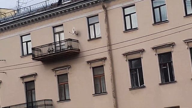 Питер.. смотреть онлайн
