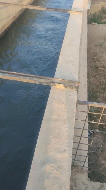 Мост для речки   искупались бы? Я искупался