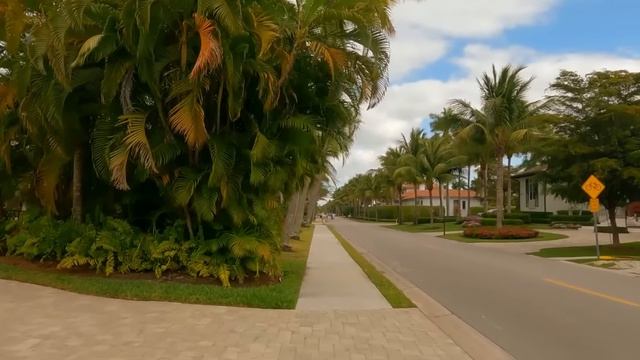 Rock 'n' Roll Forever Unforgettable Classics from the 50s & 60s 🎶🎸 смотреть онлайн