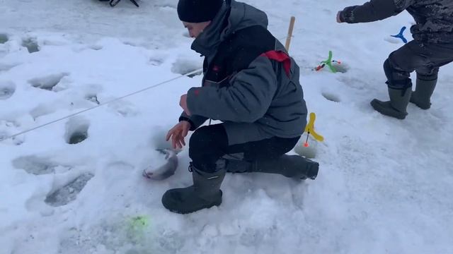 Основной водоем онлайн!!!💣 смотреть онлайн