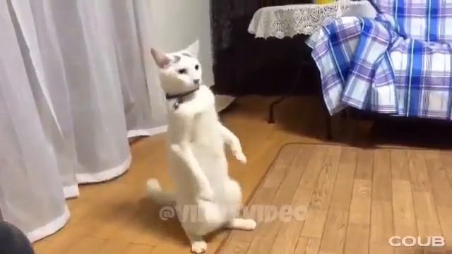 На лабутенах смотреть онлайн