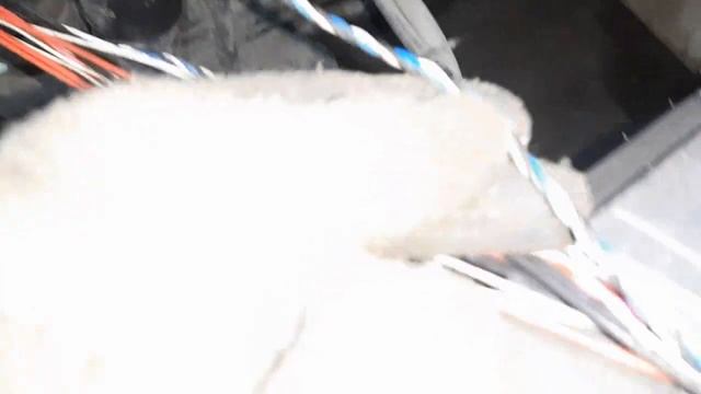 КАМАЗ 5490 САМОПРОИЗВОЛЬНЫЙ ЗАПУСК