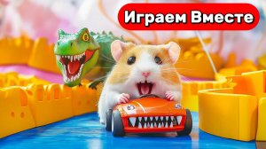 Лабиринт для Хомяка ! Умный Хомяк выбирается из тюрьмы ИГРЫ В КАЛЬМАРА ! Видео для детей