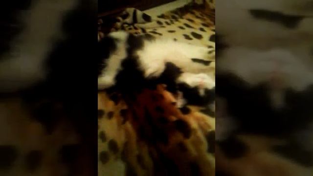 Не жизнь, а малина) смотреть онлайн