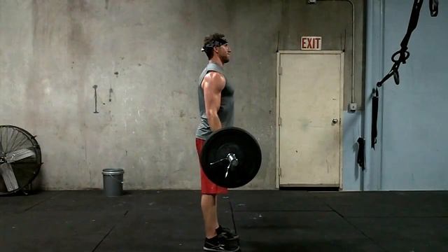 Bicep Curl Straight Bar - How To Demonstration смотреть онлайн