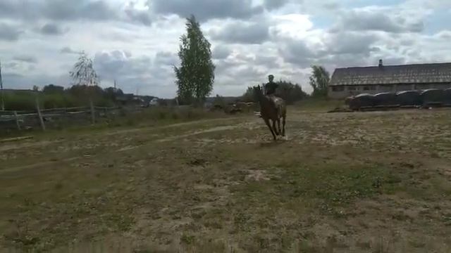 21.07.2021 травма 1-5 смотреть онлайн