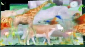 Huge animal stampede green screen