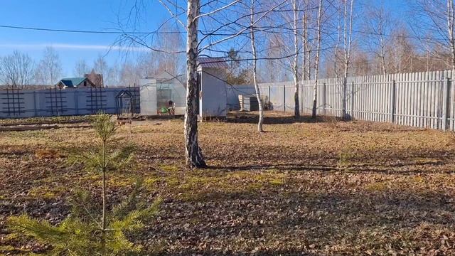 #9 Стригу и режу целый день. А Гас на посту