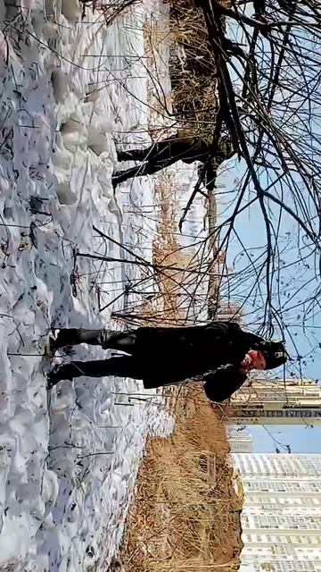 искуство бобра смотреть онлайн