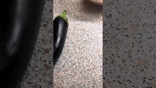 Битые баклажаны 🍆 запеченные с начинкой 😋✍️📓