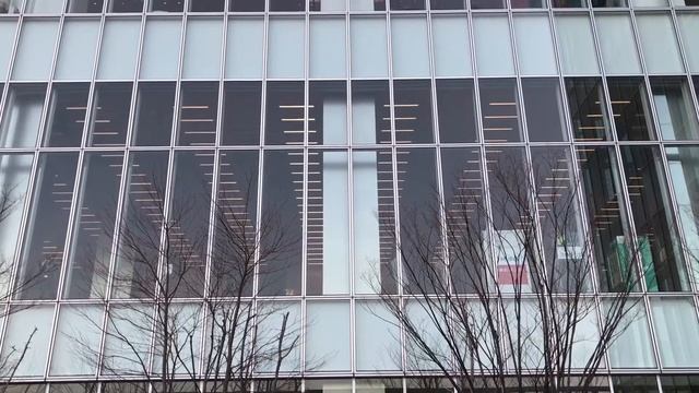 Shinsekai / Abeno / Shitenoji, Osaka on 20 Feb 2018 | Lee Tara смотреть онлайн