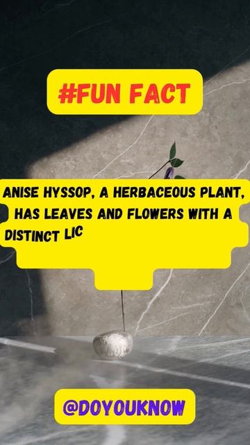 Anise Hyssop? 🤔 #shorts смотреть онлайн