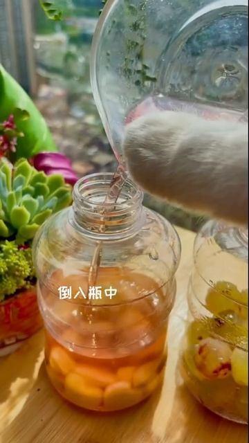 #short #Cat # Pet #Cute Chef Catie Puzzy Cooking Food | Милый кот готовит 2021 смотреть онлайн