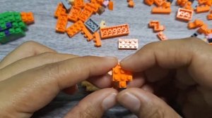 Build and Assemble Nick Fox Bricks - Building Block | Lego Mini