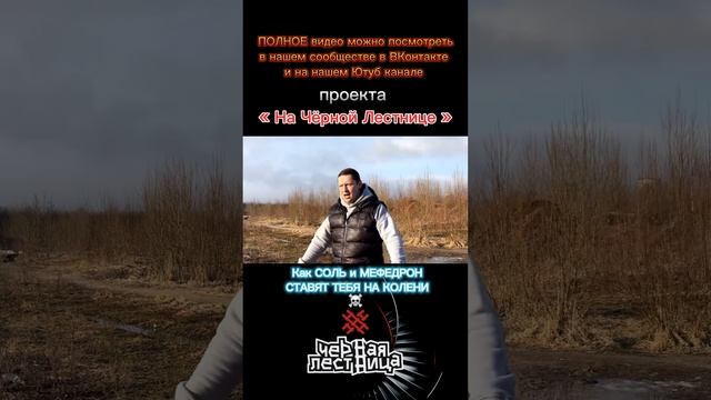 МФЕДРОН и СОЛЬ это чума нашего времени смотреть онлайн