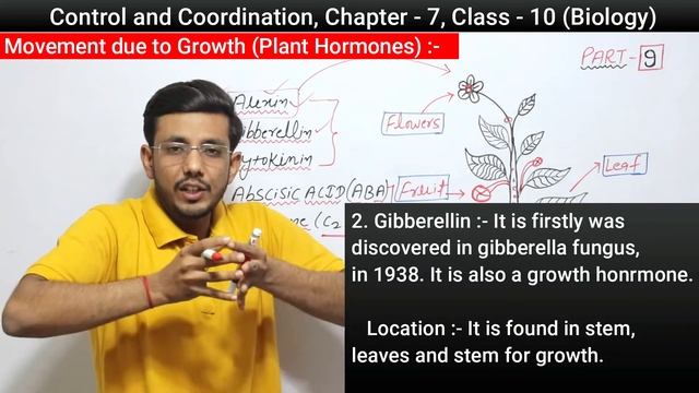 Plant Hormones | Movement due to growth | Control and coordination | Class 10 Biology смотреть онлайн