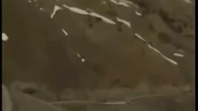 Бек Борбиев Айда такси