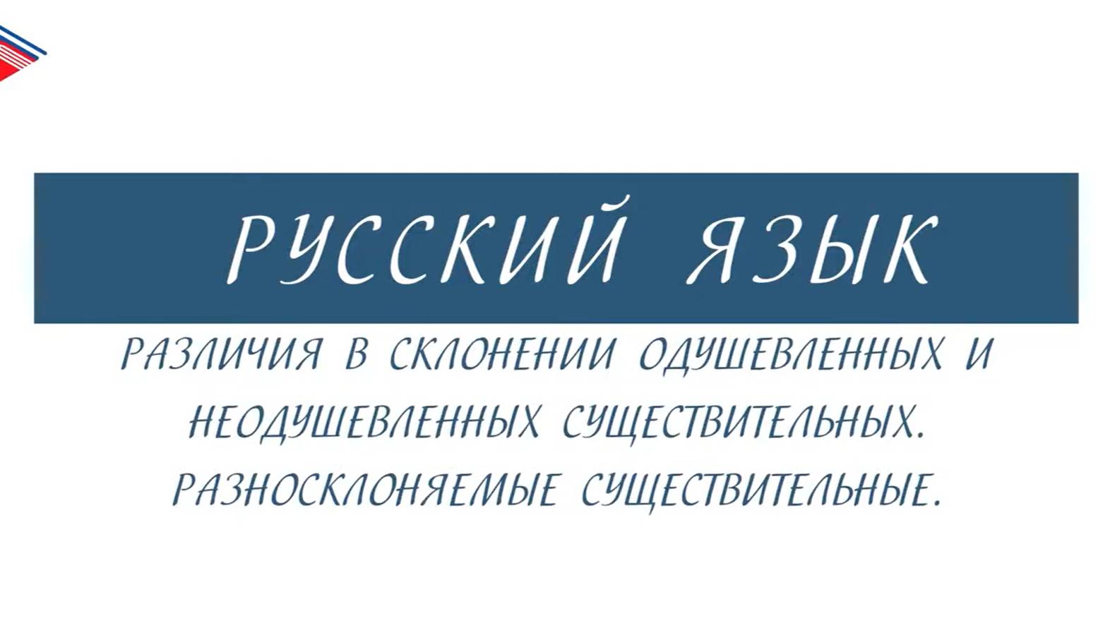 6 класс - Русский язык - Различия в склонении одушевлённых и неодушевлённых. Разносклоняемые смотреть онлайн