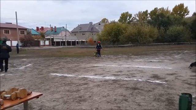 Йоко бх смотреть онлайн