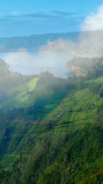 Amazing Nature & Relaxing Music for Stress Relief.#shortsvideo смотреть онлайн